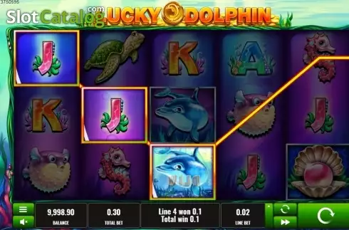 Win screen. Lucky Dolphin slot