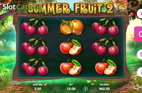 Reels screen. Summer Fruit 2 slot