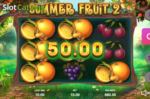Win screen. Summer Fruit 2 slot