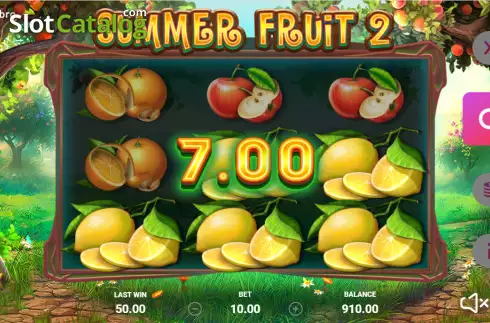 Win screen 2. Summer Fruit 2 slot