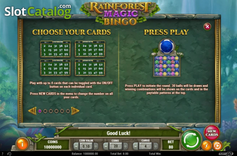 画面6. Rainforest Magic Bingo (レインフォレスト・マジック・ビンゴ) カジノスロット