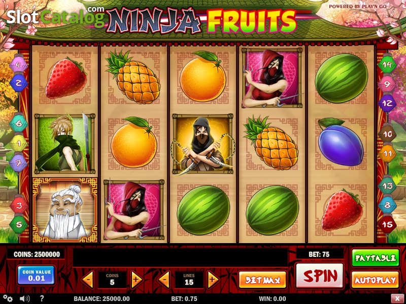 Ninja Fruits Gokkast van Play'n Go: Beoordeling en gratis demo