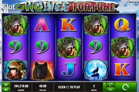 Reels screen. Wolves of Fortune slot