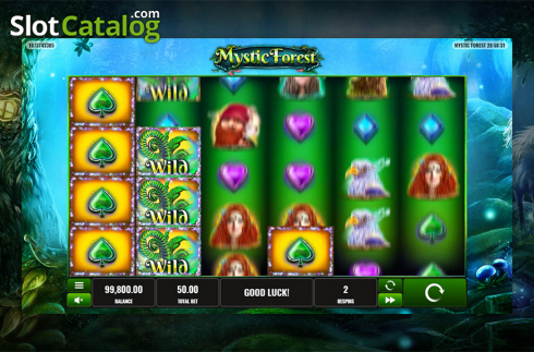 Game workflow 3. Mystic Forest (Playreels) slot
