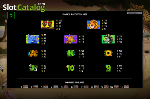 Bildschirm8. African Wild (Playreels) slot