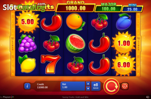 Skärmdump2. Sunny Fruits: Hold and Win slot