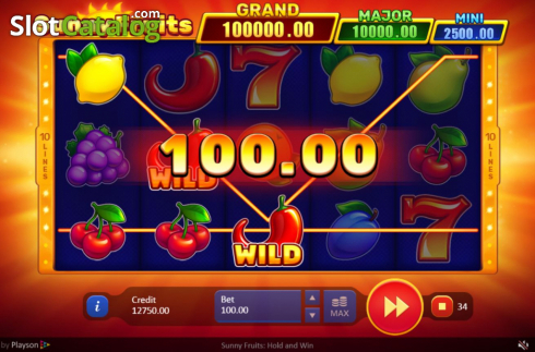 Skärmdump4. Sunny Fruits: Hold and Win slot