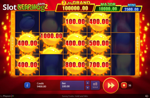 Скрін6. Sunny Fruits: Hold and Win слот