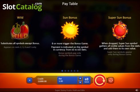 Paytable 1. Super Sunny Fruits: Hold and Win slot
