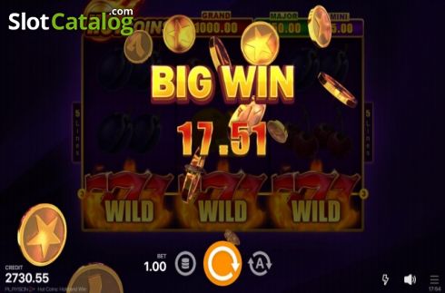 Schermo3. Hot Coins Hold and Win slot