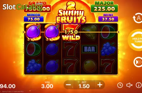 Win screen. Sunny Fruits 2: Hold and Win slot