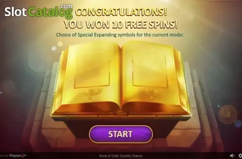Free spins intro screen. Book of Gold: Double Chance slot