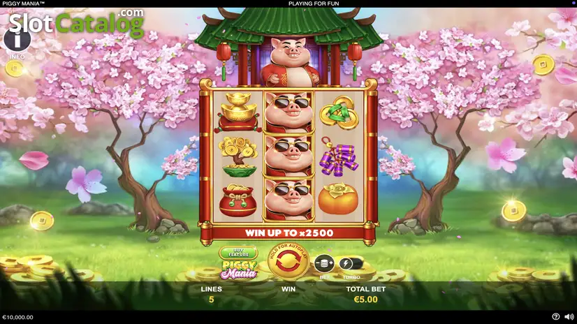 piggy-mania
