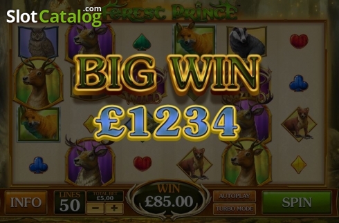 Big Win. Forest Prince slot