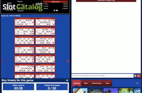 Skärmdump3. Deal Or No Deal Bingo slot