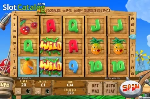 Wild Win screen. Funky Fruits Farm slot