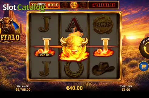 Bildschirm3. 9 Buffalo slot