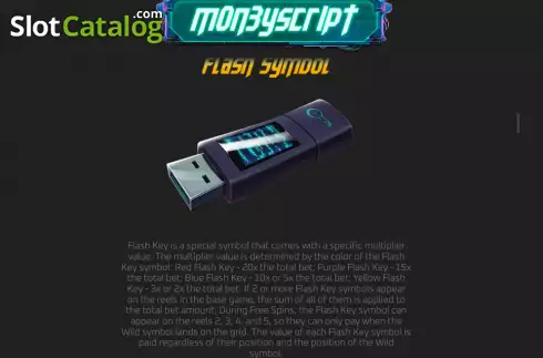 Flash symbol screen. MoneyScript slot