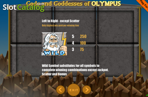 Screen5. Gods And Goddesses Of Olympus slot