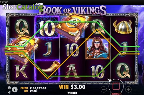 Win Screen. Book of Vikings slot