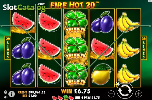 Bildschirm5. Fire Hot 20 slot