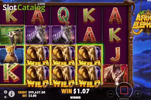 Free Spins 2. African Elephant slot