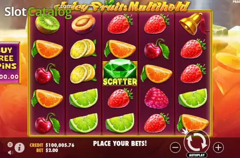画面2. Juicy Fruits Multihold カジノスロット