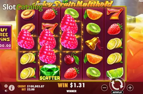 画面5. Juicy Fruits Multihold カジノスロット