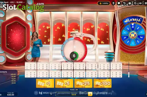 Bildschirm2. The Bingo Spot slot