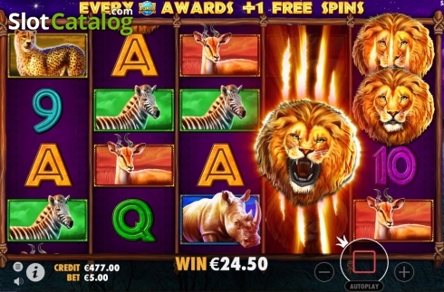 Bildschirm7. Safari King (Pragmatic Play) slot