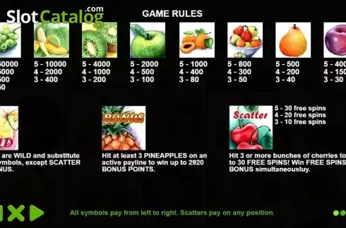 Paytable 1. Fruit Slot (Pragmatic) slot