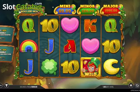 Reels screen. Leprechaun Charms Hold and Win slot