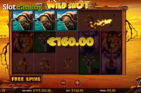 Win screen. Wild Shot slot