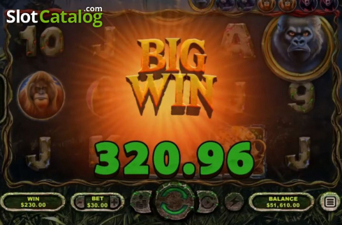 Big Win. Ape King slot