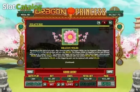 Pantalla6. Dragon Princess (RTG) Tragamonedas 