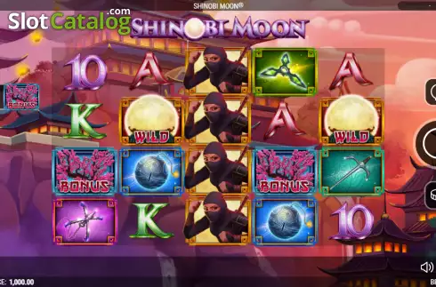 Win screen. Shinobi Moon slot