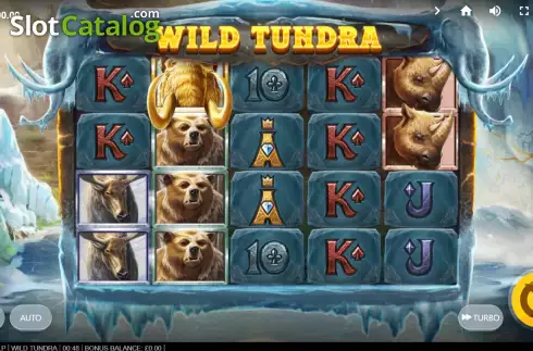 Schermo3. Wild Tundra slot