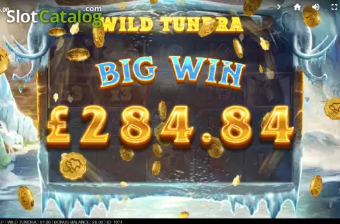 Big Win. Wild Tundra slot