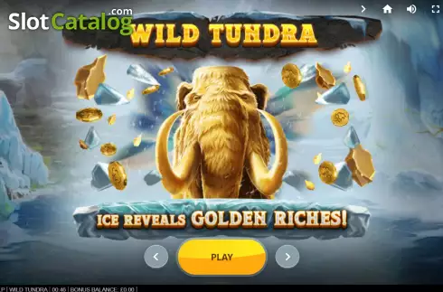 Start Screen. Wild Tundra slot