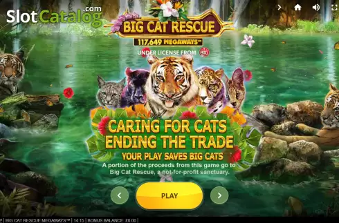 Start Screen. Big Cat Rescue Megaways slot