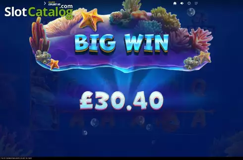 Big Win. Fishtastic slot