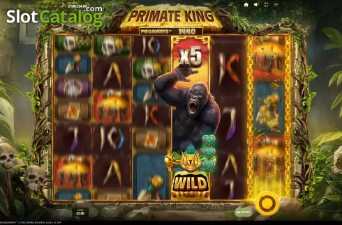 Schermo9. Primate King Megaways slot