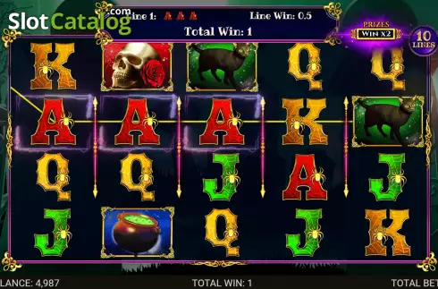 Game Screen. Book of Witchcraft slot