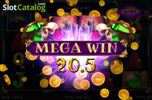 MegaWin Screen. Book of Witchcraft slot