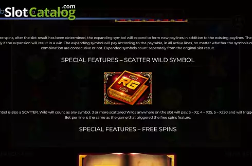 Special features screen. Book of Ruby slot