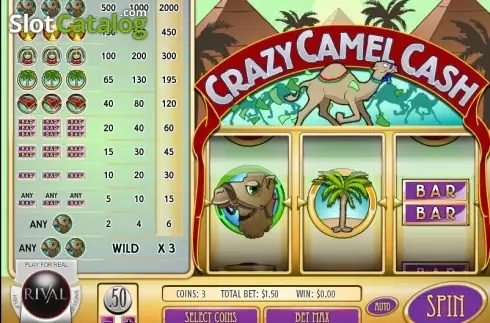 Ecran2. Crazy Camel Cash slot