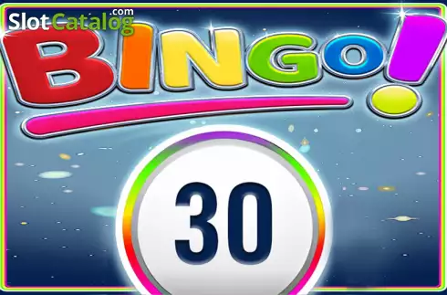 Bingo 30 Ball Logo