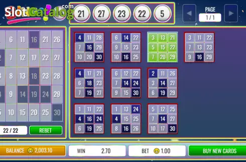 Ekran4. Bingo 30 Ball yuvası
