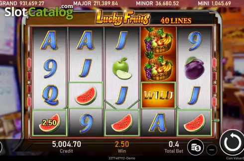 Ecran4. Lucky Fruits (Royal Slot Gaming) slot