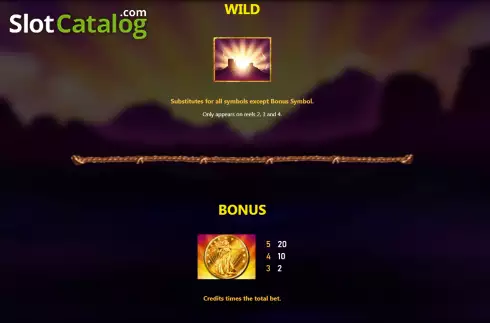 Special symbols screen. Buffalo (Royal Slot Gaming) slot